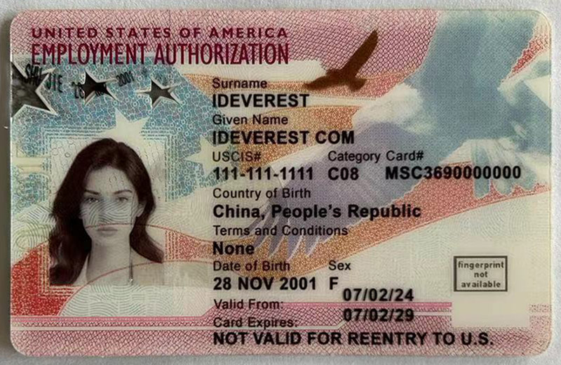 Employment Authorization Card